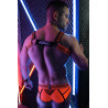 Breedwell Harnais Revolution Orange neon